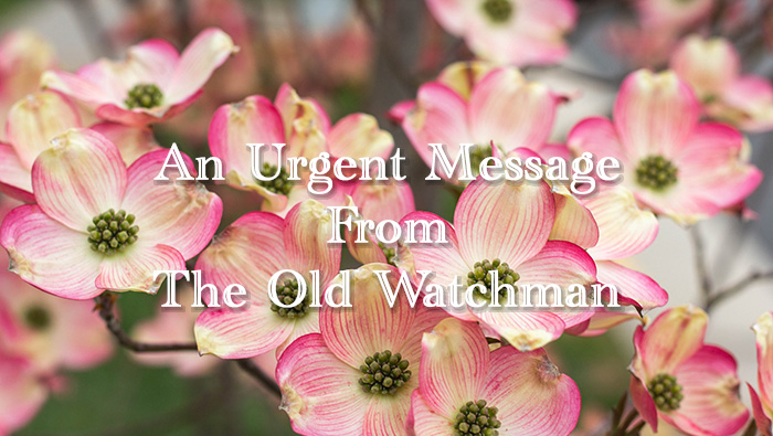 An Urgent Message From The Old Watchman