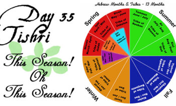 Day 35 – Tishri – This Season! Oh This Season!