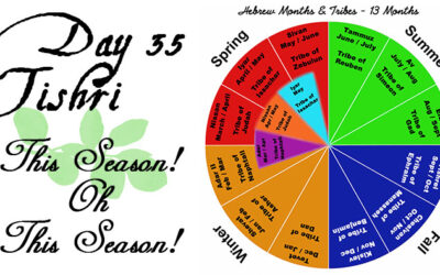 Day 35 – Tishri – This Season! Oh This Season!