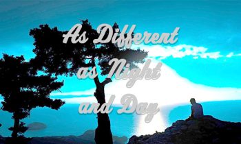 As Different as Night and Day