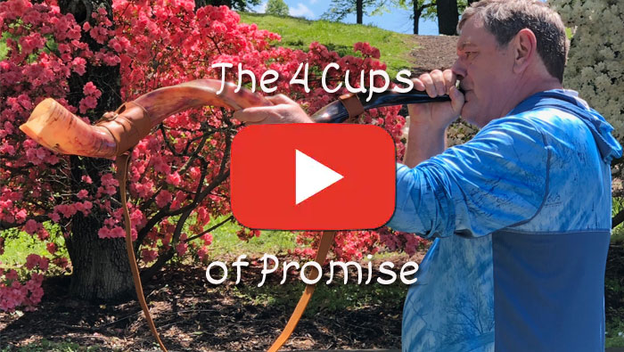 The Four Cups Of Promise - YouTube Video
