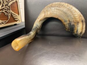 The Rams Horn