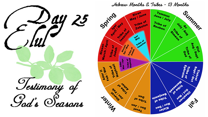 Day 25 - Elul - Testimony of God’s Seasons