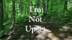 I'm Not Upset