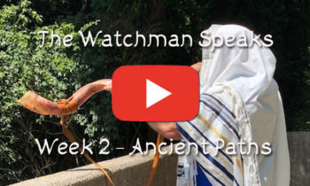 The Old Watchman Speaks – Week 2 – Ancient Paths