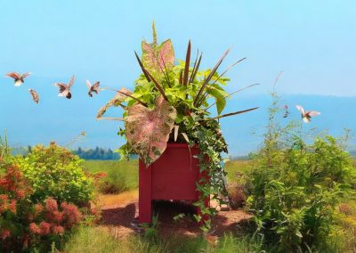 Outdoor Wood Planters