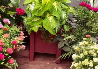 Outdoor Wood Planters