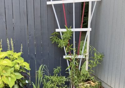 Climbing Flower Trellis