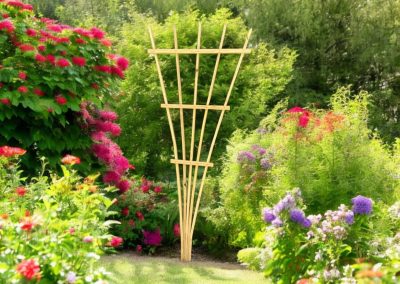 Climbing Flower Trellis